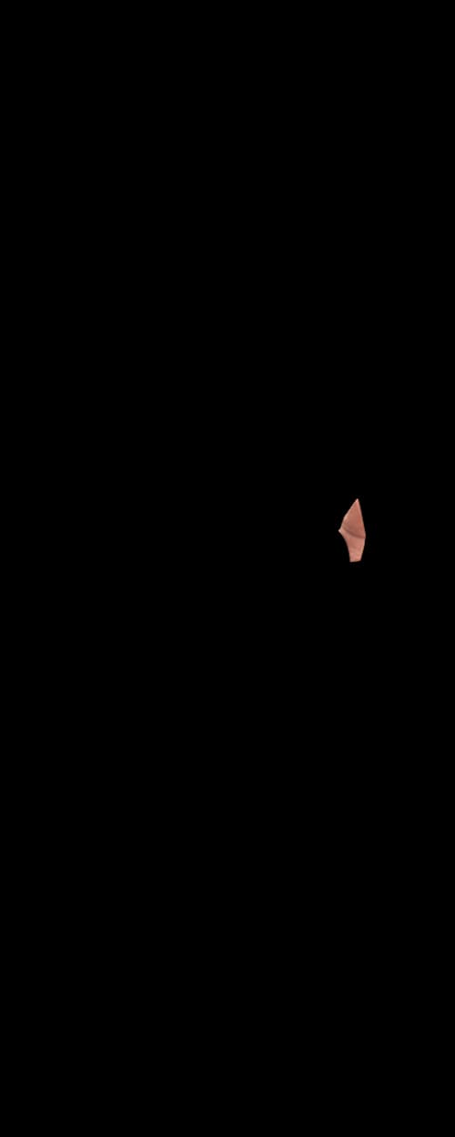 niko dola